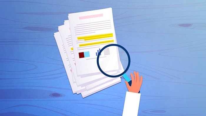 documents 2d animation